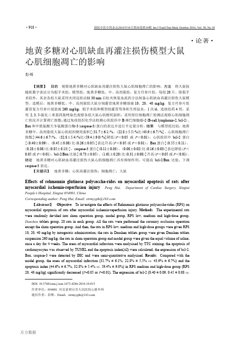 地黄多糖对心肌缺血再灌注损伤模型大鼠心肌细胞凋亡的影响重点