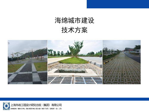 海绵城市建设技术方案  ppt课件