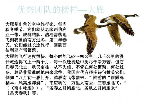 大雁文化