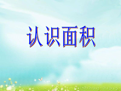 三年级上册数学课件-4.24 认识面积丨浙教版 (共22张PPT)