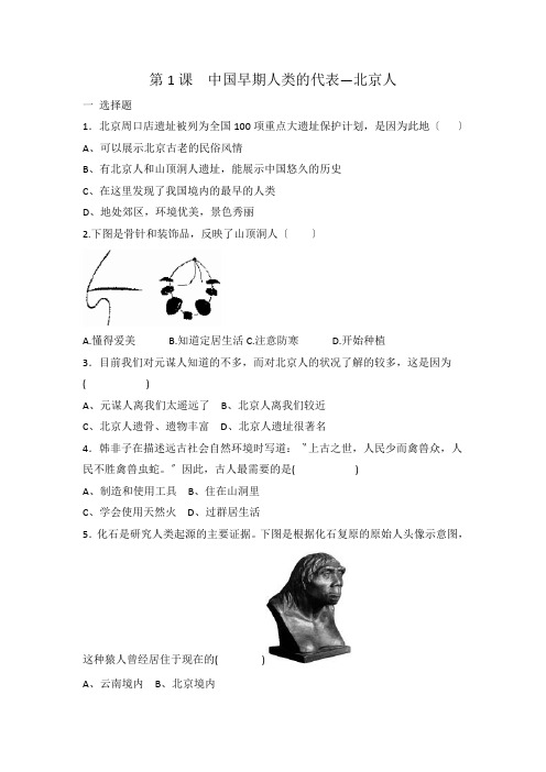 人教部编版七年级上册历史  第1课  中国早期人类的代表—北京人 同步练习 有答案