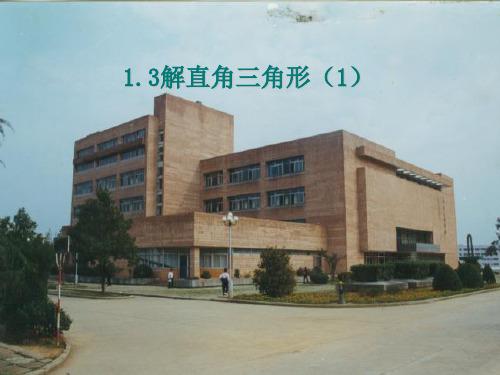 新浙教版九年级数学下册第一章《解直角三角形1》公开课课件.ppt