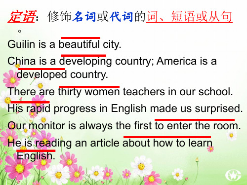 定语从句基本概念PPT课件