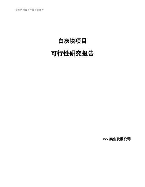 白灰块项目可行性研究报告