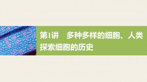 高考生物(北师大版)一轮复习 第一单元 第1讲 多种多样的细胞、人类探索细胞的历史