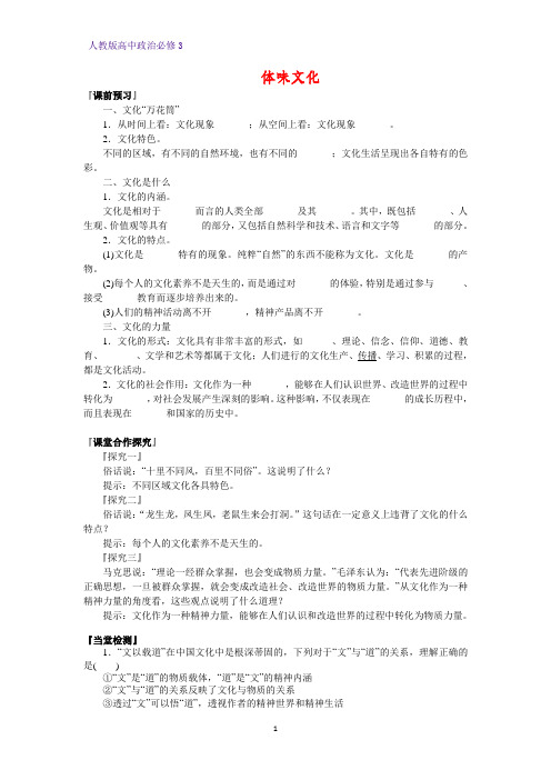 高中政治必修3精品学案10：1.1 体味文化