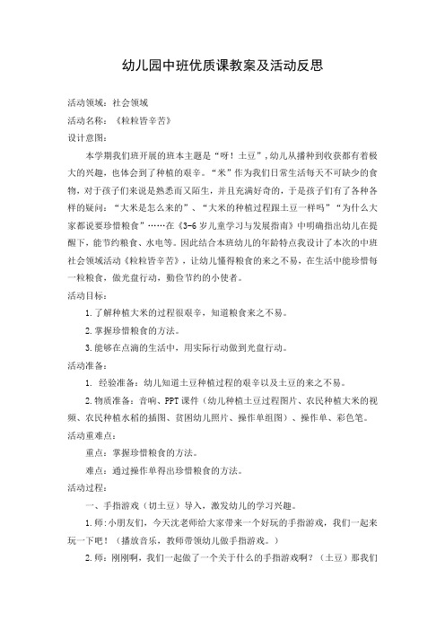幼儿园中班优质课《粒粒皆辛苦》教案及活动反思