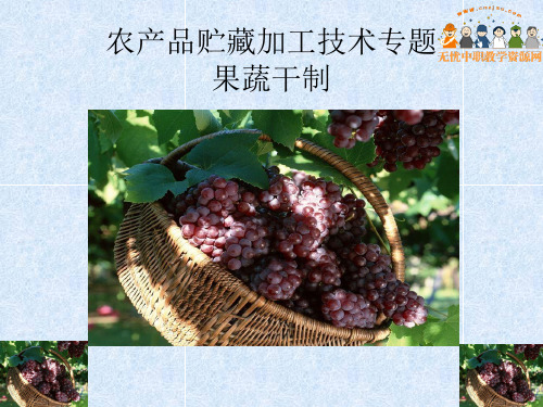 农产品贮藏加工技术专题课件——果蔬干制