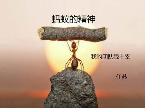 团队合作-蚂蚁的精神ppt课件