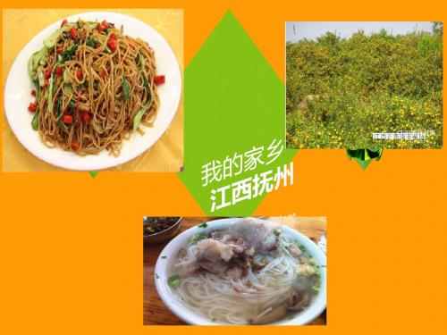 城市规划-江西抚州