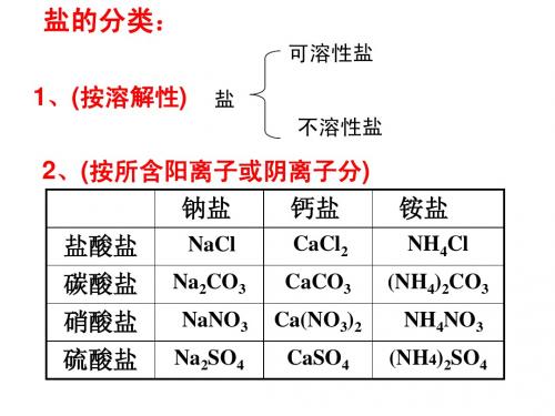 _生活中常见的盐