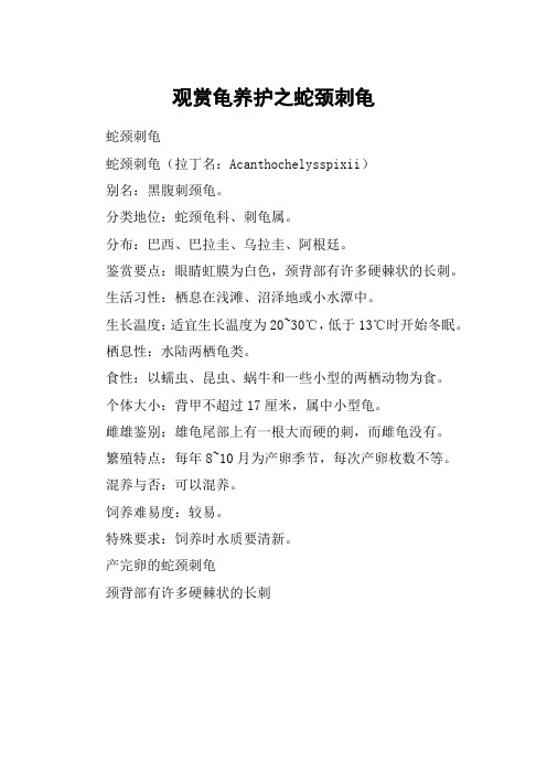 观赏龟养护之蛇颈刺龟