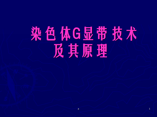 染色体G显带技术及其原理