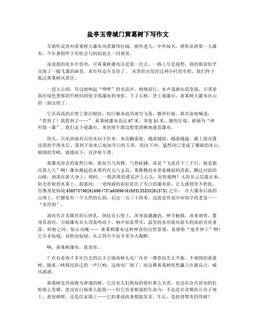 盐亭玉带城门黄葛树下写作文