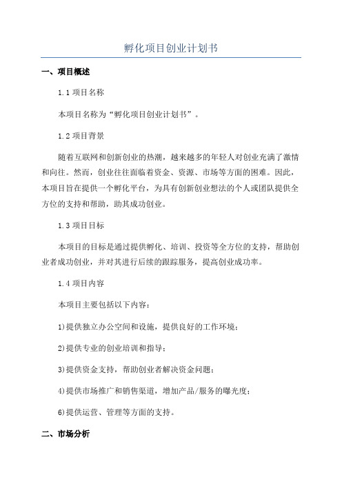 孵化项目创业计划书
