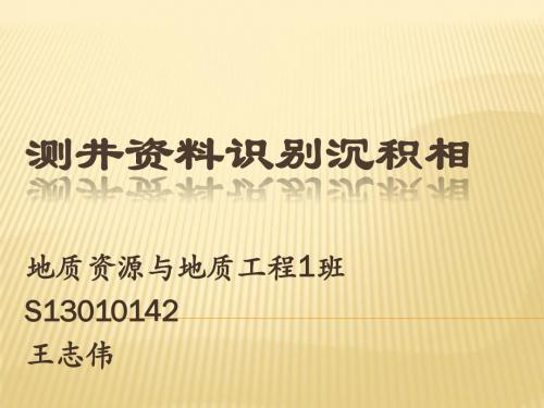 岩相古地理PPT(王志伟)