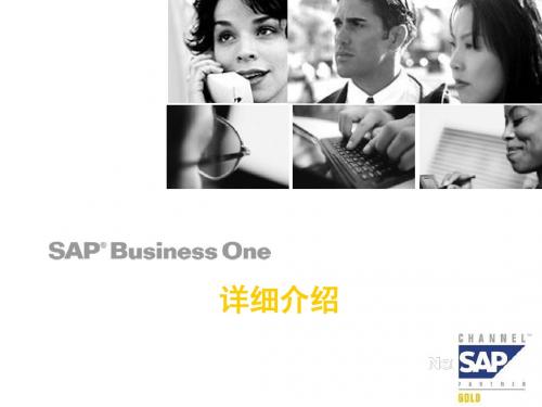 SAPBusinessOne系统详细介绍2007bNeusoft资料