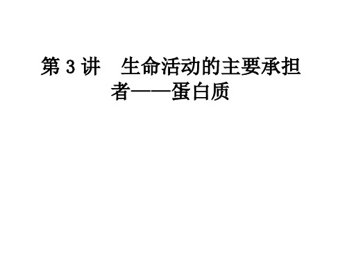 高中生物蛋白质