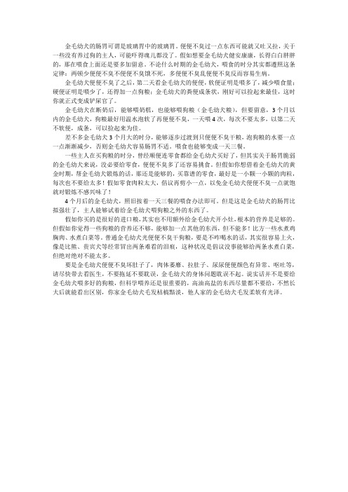 金毛便便不臭需要吃什么狗粮？宠小皮：这样喂就行了