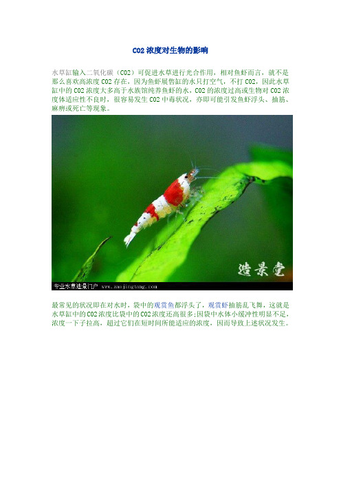 CO2浓度对生物的影响
