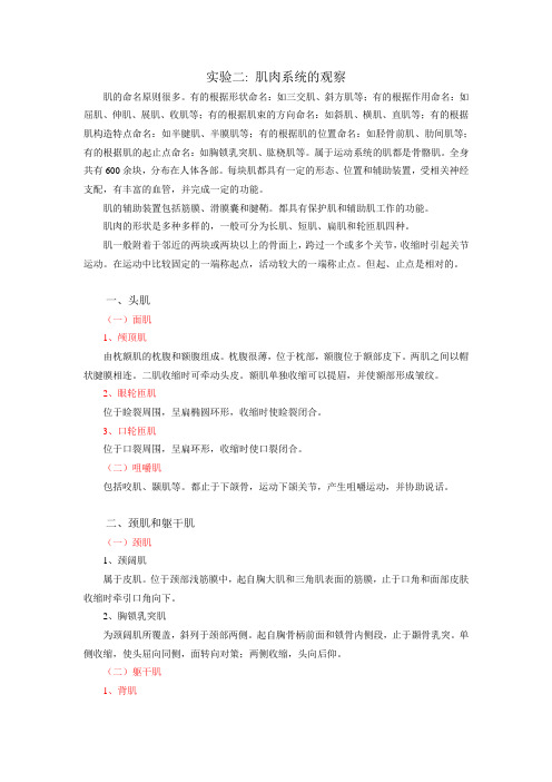人体解剖生理学实验——实验二.肌肉系统的观察doc