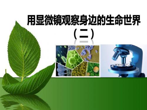 《用显微镜观察身边的生命世界(二)》微小世界PPT课件3