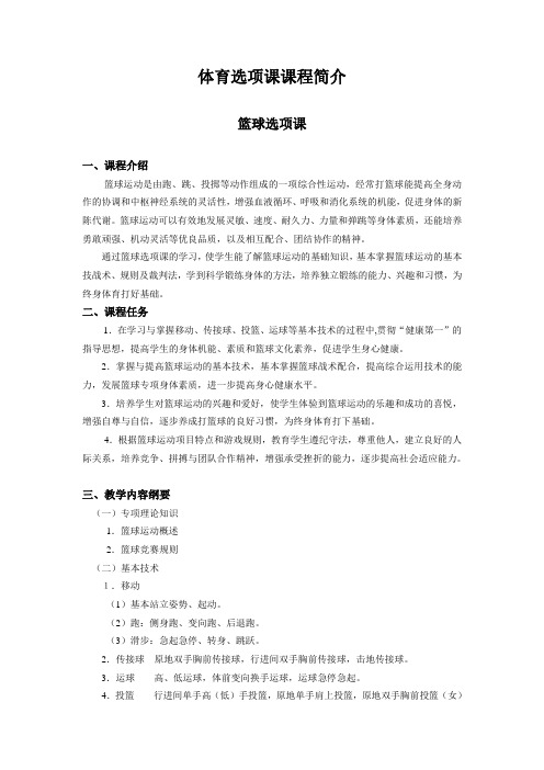 体育选项课课程简介