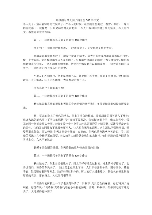 一年级描写冬天到了的景色300字作文 