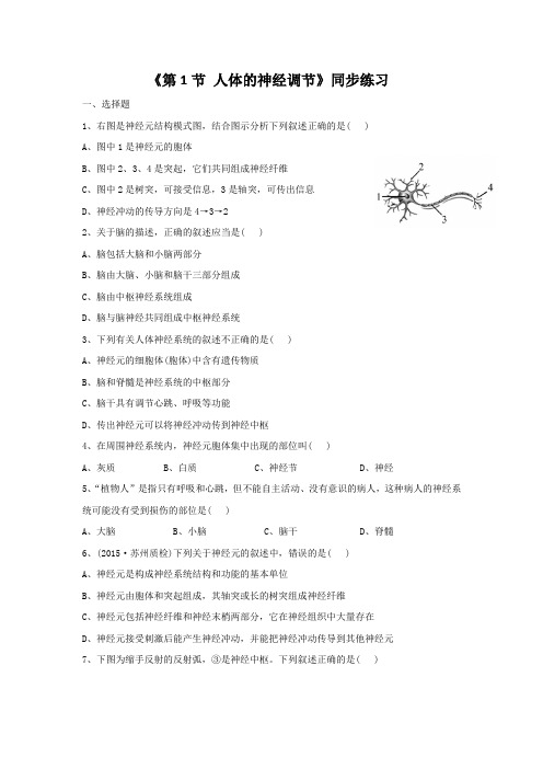 苏科版生物八年级上册 第6单元 第16章《第1节 人体的神经调节》同步练习2