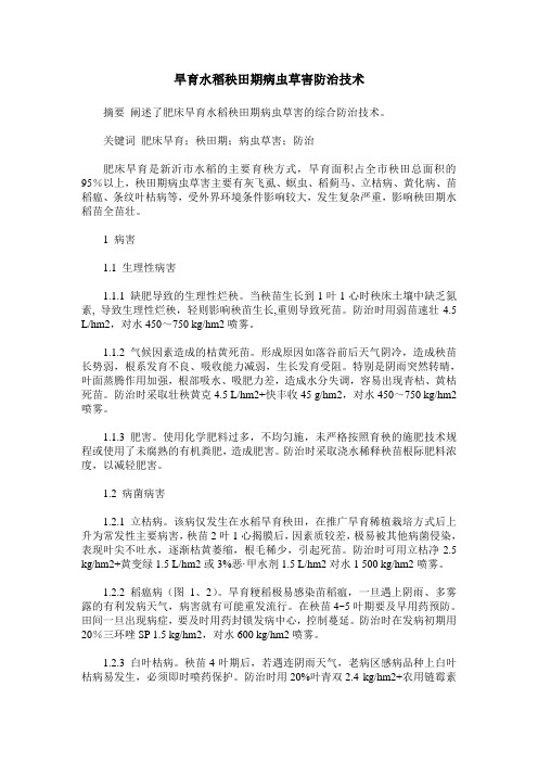 旱育水稻秧田期病虫草害防治技术