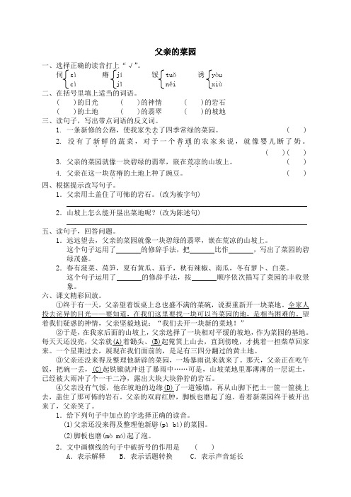 人教版小学语文4年级下册试题同步练习-28 父亲的菜园 (2)