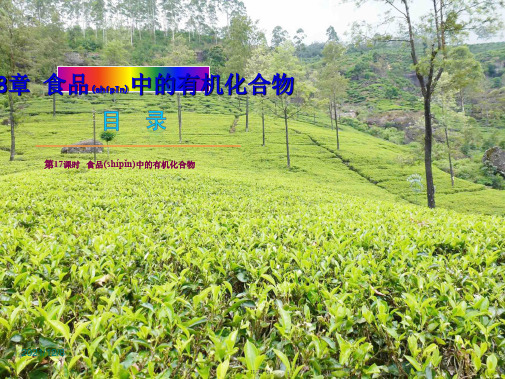中考化学教材化总复习 第8章 食品中的有机化合物课件 