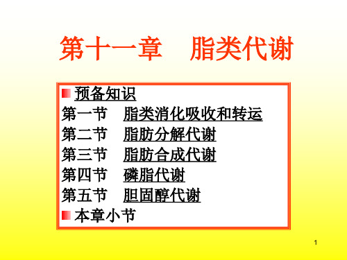 脂酰CoA