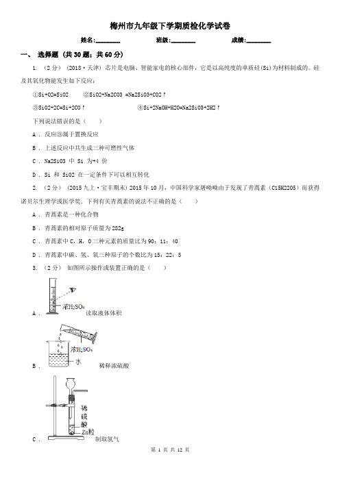 梅州市九年级下学期质检化学试卷