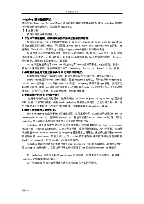hedgehog信号通路