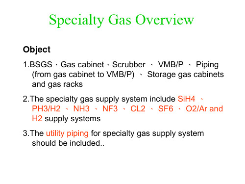 特殊气体系统简报