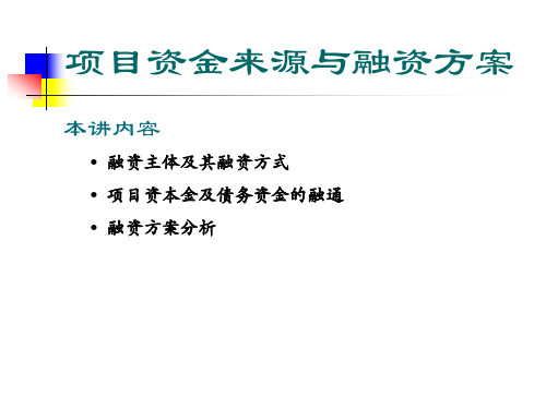 项目资金来源与融资方案