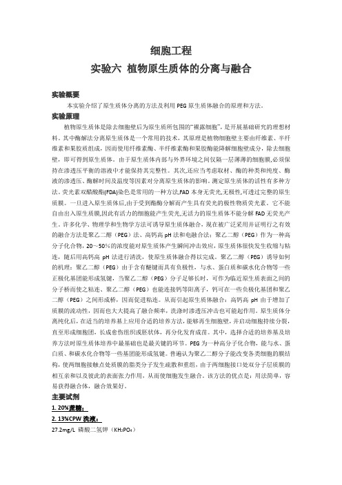 植物原生质体的分离与融合(3)