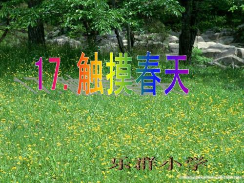 触摸春天(第一课时) (2)