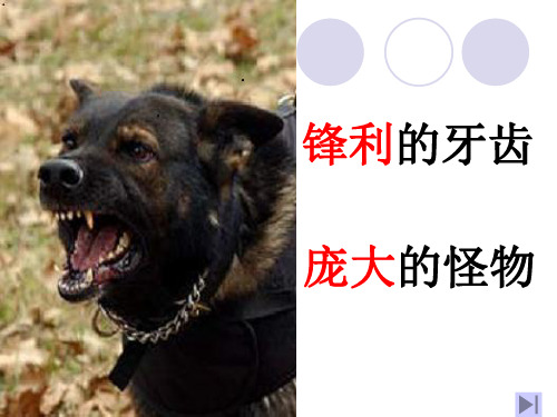13_麻雀