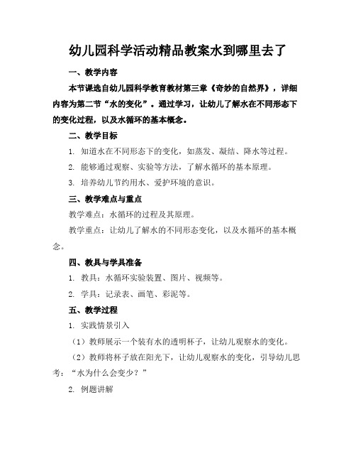 幼儿园科学活动精品教案水到哪里去了