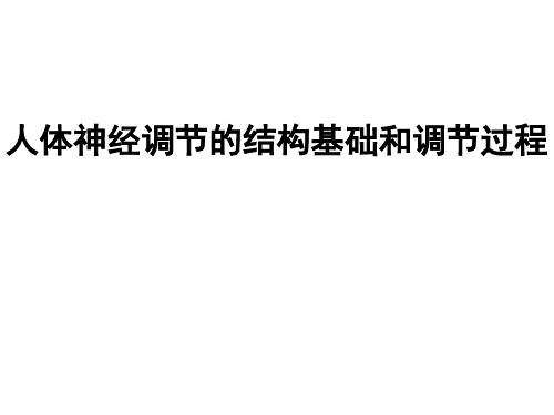 苏教版高中生物必修三第二章2.2人体神经调节的结构基础和调节过程教学课件共18张PPT(共18张PPT)