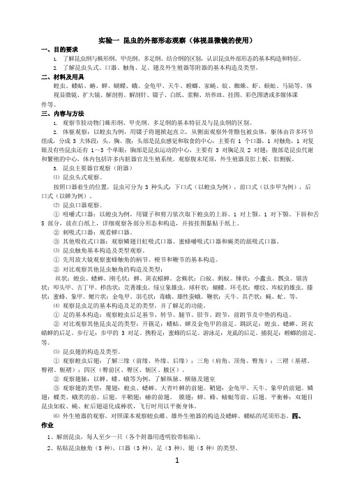 园艺植物病虫草基础知识06-实验指导-实验一 昆虫的外部形态观察(体视显微镜的使用)_3