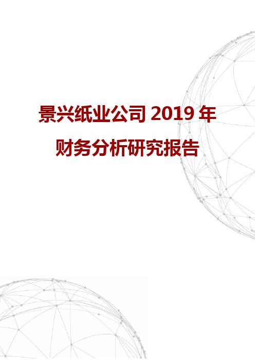 景兴纸业公司2019年财务分析研究报告