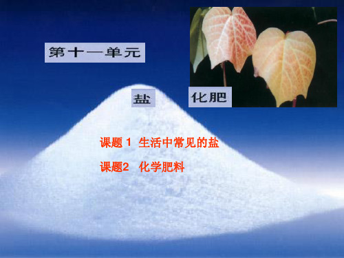 九年级化学下册生活中常见的盐PPT课件讲义