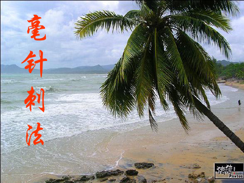 中医针灸之毫针刺法ppt课件