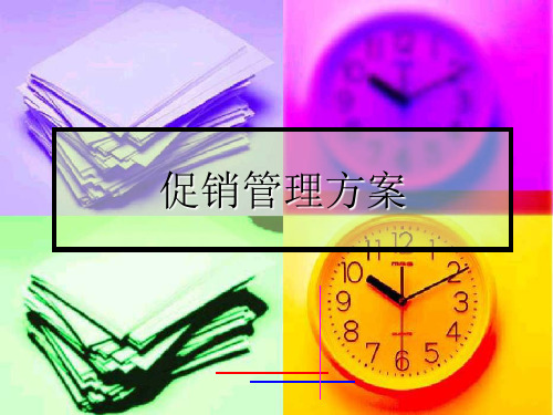 促销管理方案ppt课件