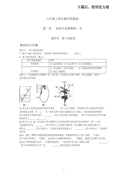 【优质文档】【八上济南版生物】第四节种子的萌发