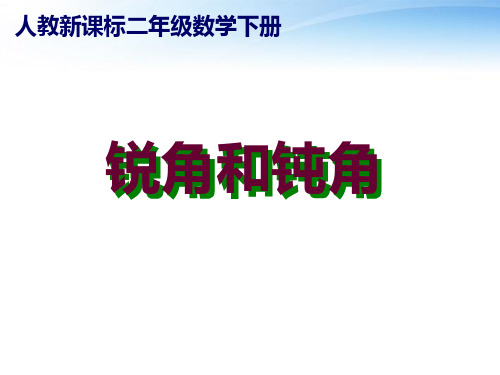 最新-二年级数学下册 锐角和钝角课件10 人教新课标版 精品 