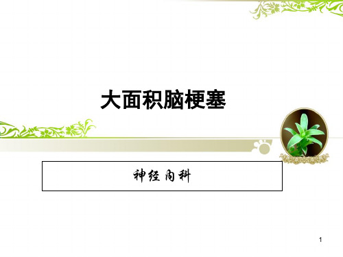 大面积脑梗死护理查房PPT课件